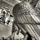 Philadelphia Eagle by Amy E. McCormick