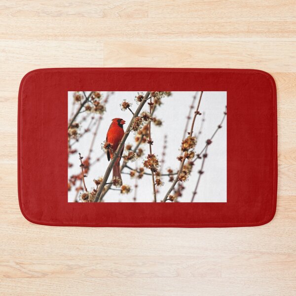 Item preview, Northern Red Cardinal designed and sold by Debbie Oppermann.