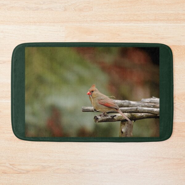 Item preview, Cardinal Nest Building designed and sold by Debbie Oppermann.
