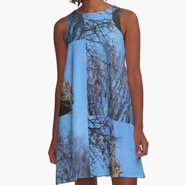 The Magical Hive By Yannis Lobaina A-Line Dress