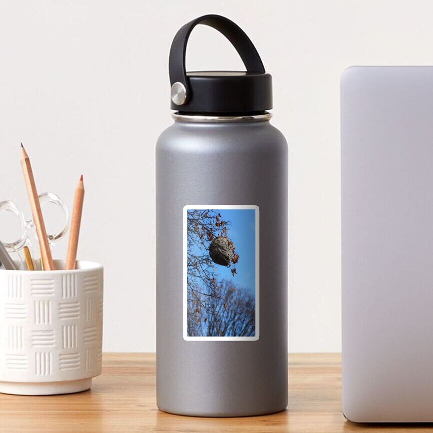 The Magical Hive By Yannis Lobaina Sticker