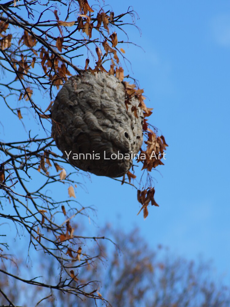 The Magical Hive By Yannis Lobaina by lobaina1979