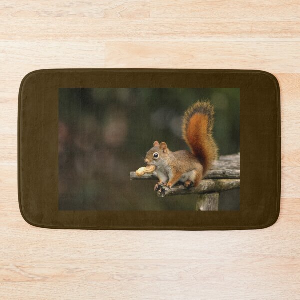 Item preview, Surprised Red Squirrel With Peanut designed and sold by Debbie Oppermann.