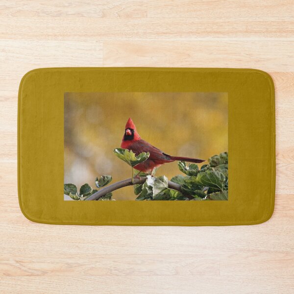 Item preview, Alarmed  Northern Red Cardinal designed and sold by Debbie Oppermann.