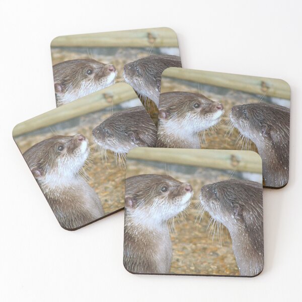 Item preview, ¡¡Bésame rápido!! designed and sold by Sharon Perrett.