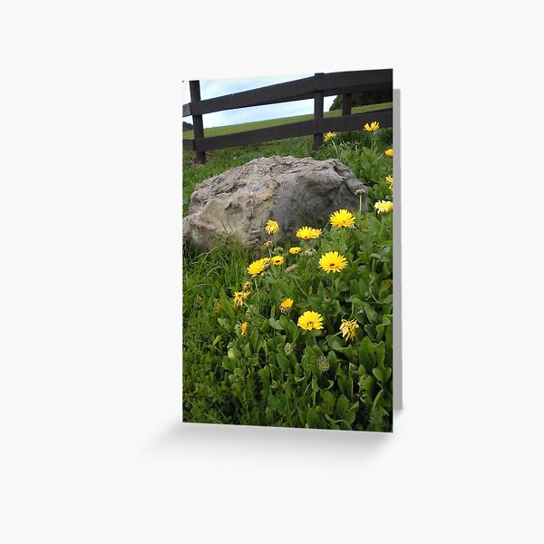 "Past Their Prime" Greeting Card