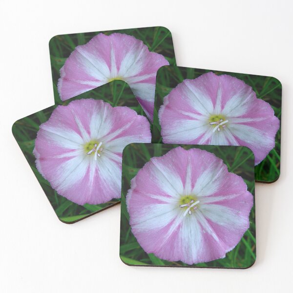 Item preview, Sea Bindweed designed and sold by Sharon Perrett.