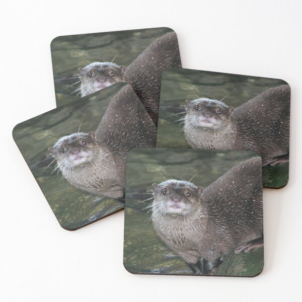 Item preview, Are you still here?? designed and sold by Sharon Perrett.