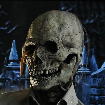 Artwork thumbnail, Skully by The Creep factory