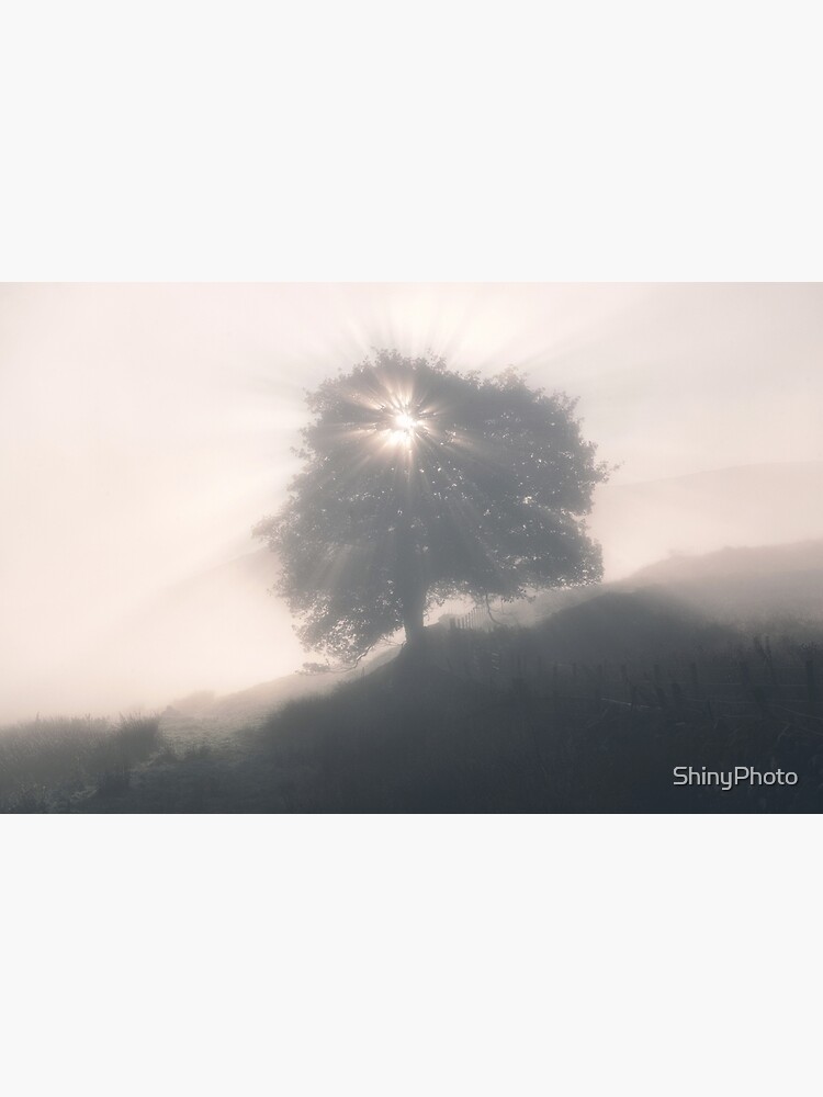 Light and Fog 3 by ShinyPhoto