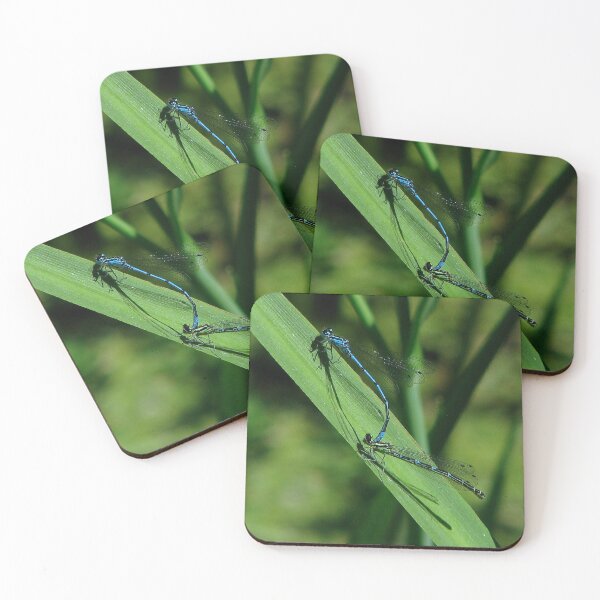 Item preview, Stuck on you designed and sold by Sharon Perrett.