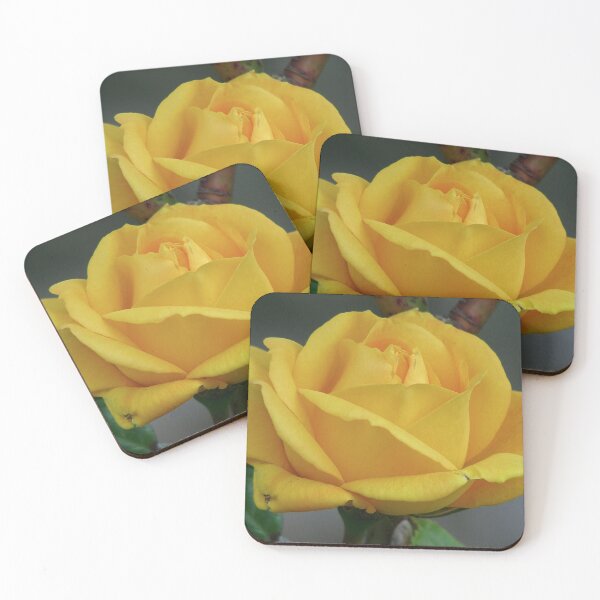 Item preview, Para Jerry designed and sold by Sharon Perrett.