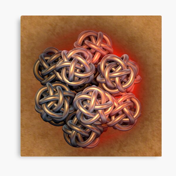 Gordian Knot Canvas Print