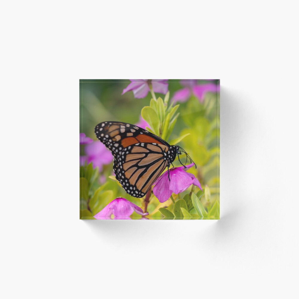 Item preview, Acrylic Block designed and sold by jenniferjam.