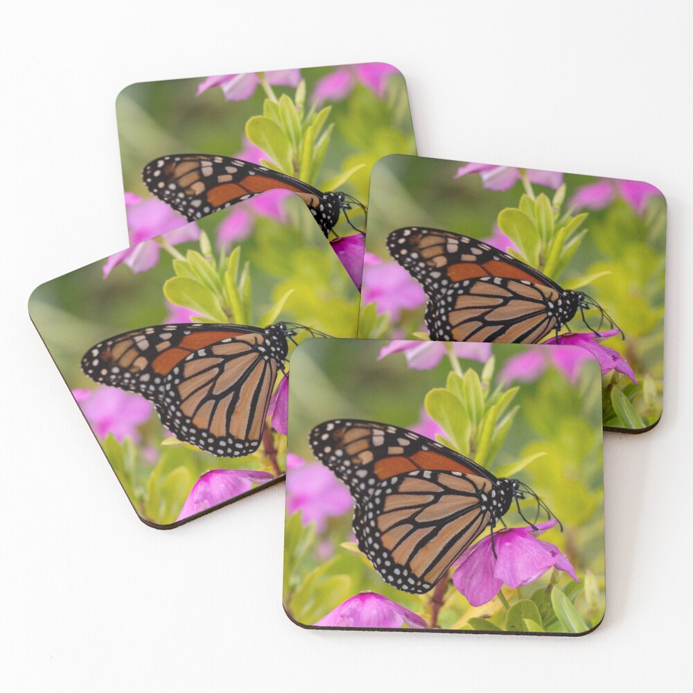 Item preview, Coasters (Set of 4) designed and sold by jenniferjam.