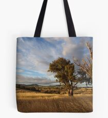 When The Light Was Right ! Tote Bag