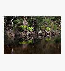 Surprise Location Photographic Print
