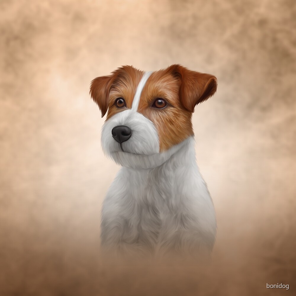 "Jack Russell Terrier. Drawing" by bonidog | Redbubble