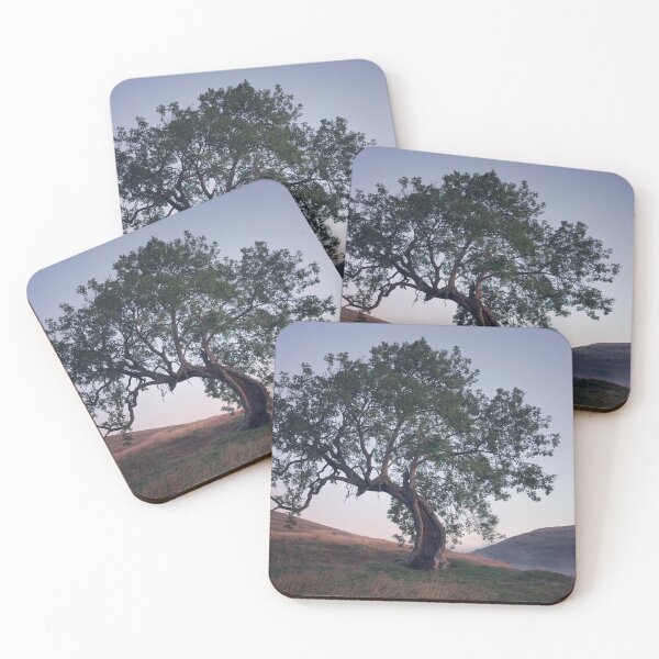 Item preview, Frandy Tree before Dawn designed and sold by ShinyPhoto.