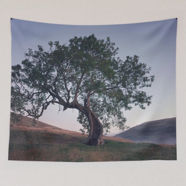 Item preview, Frandy Tree before Dawn designed and sold by ShinyPhoto.
