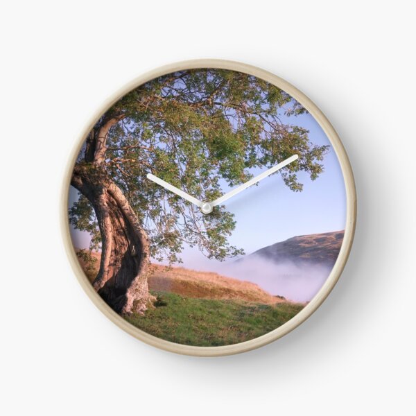 Item preview, Misty Morning at the Frandy Tree 1 designed and sold by ShinyPhoto.