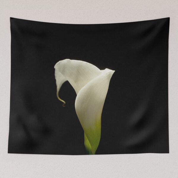 Item preview, kala lili designed and sold by mark ashkenazi.