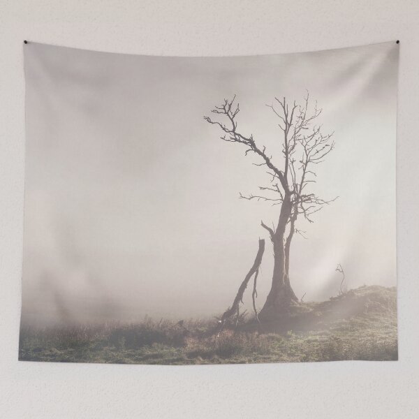 Item preview, Lone Tree in the Mist, Glen Devon designed and sold by ShinyPhoto.