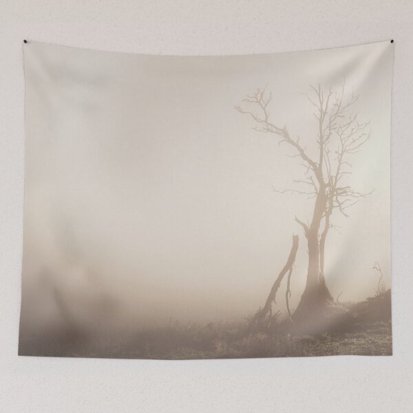 Item preview, Lone Tree in the Mist, Glen Devon designed and sold by ShinyPhoto.