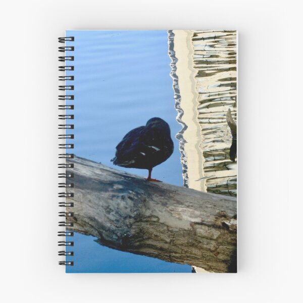 Aperçu de l'œuvre Trois canards sur un journal créée et vendue par Shulie1.