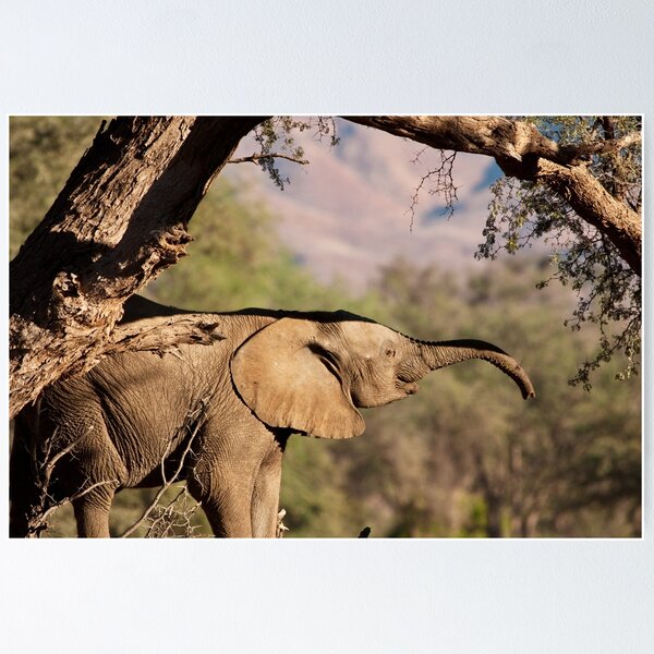 Item preview, Trunk hello designed and sold by Owed To Nature.
