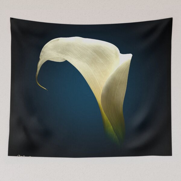 Item preview, cala lili  designed and sold by mark ashkenazi.