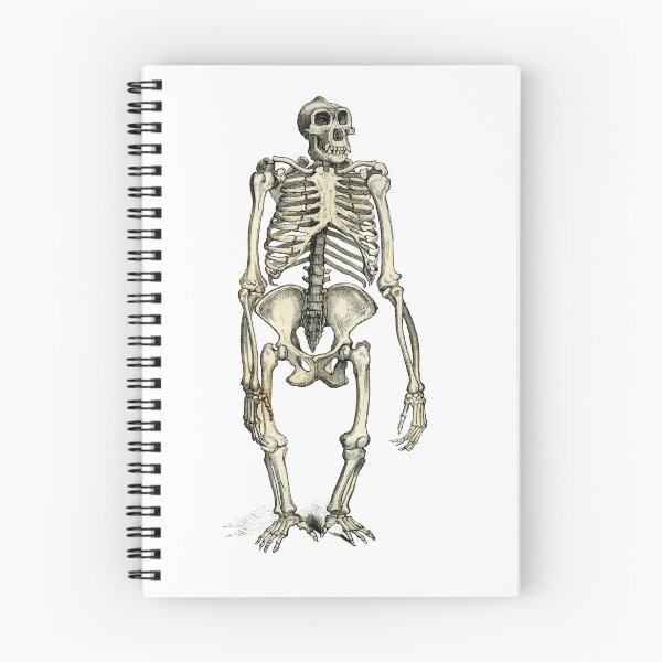 Item preview, The Gorilla Skeleton designed and sold by taspaul.