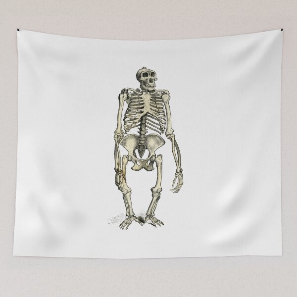Item preview, The Gorilla Skeleton designed and sold by taspaul.