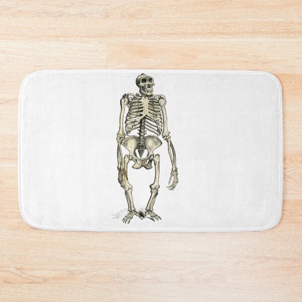 Item preview, The Gorilla Skeleton designed and sold by taspaul.