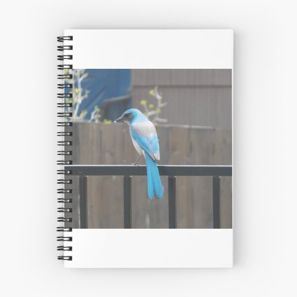 Item preview, Blue Bird on Fence designed and sold by farrahbear.