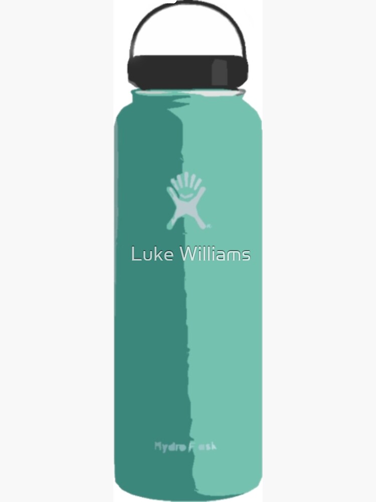 save the turtles hydro flask