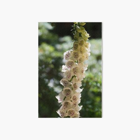 Item preview, White Fox Glove designed and sold by LizardSpirit.