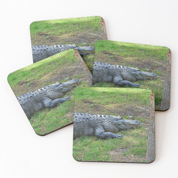 Item preview, Gator in Davie II designed and sold by Michiale.