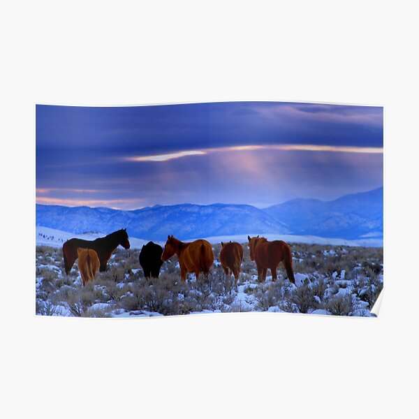 Follow Your Dreams Poster
