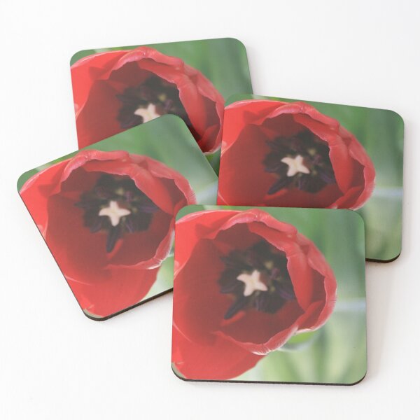 Item preview, Tulipán rojo designed and sold by diggsstudio.