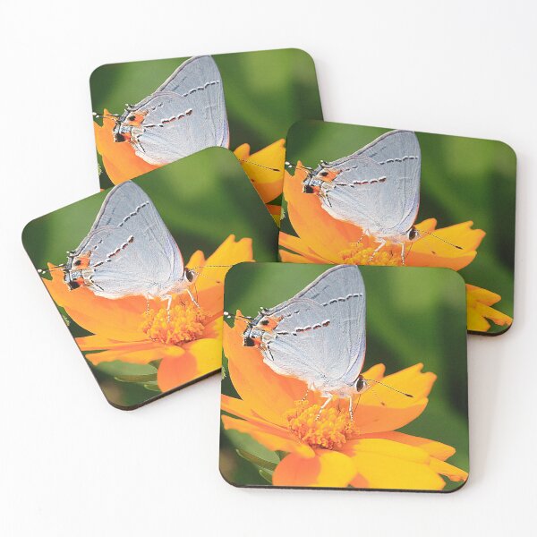 Item preview, Sipping Cosmos designed and sold by Brenda Burnett.