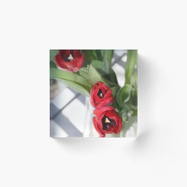 Item preview, Tulipanes rojos 2 designed and sold by diggsstudio.