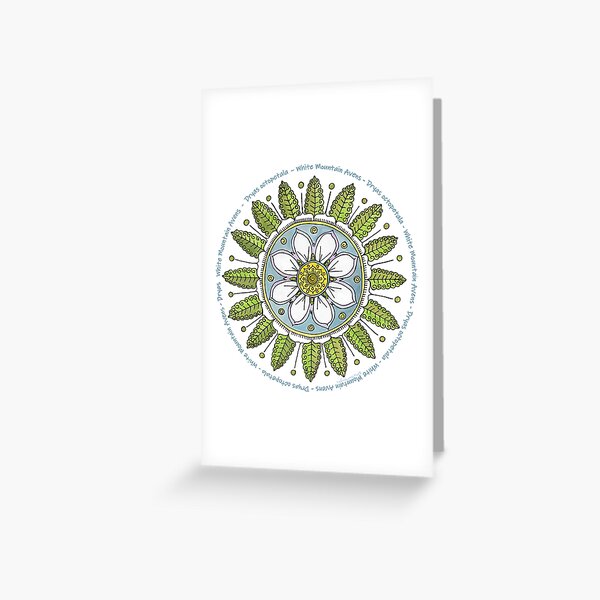 Item preview, White Mountain Avens - Dryas octopetala designed and sold by Stacy McDonough.