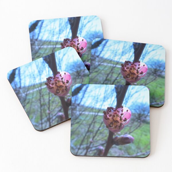 Item preview, Cherrie Blossom designed and sold by Diane Arndt.