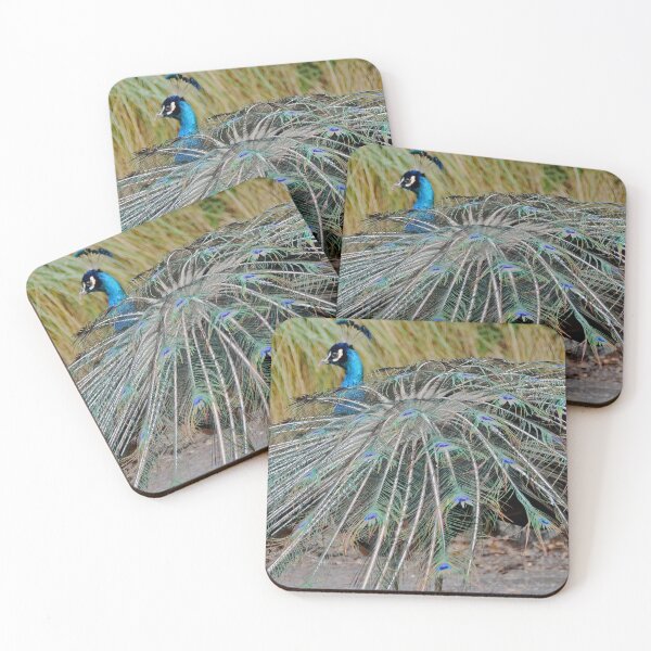 Item preview, A peacock and its beautiful tail feathers designed and sold by imaginethis.