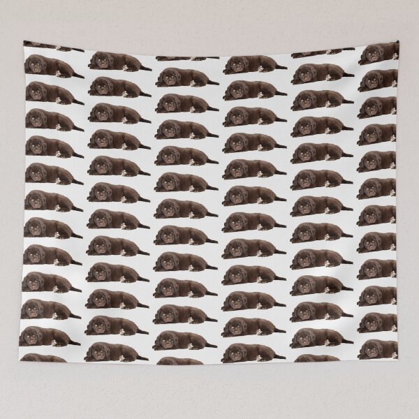 Item preview, Newfoundland Puppy Brown designed and sold by Aliciamichele.