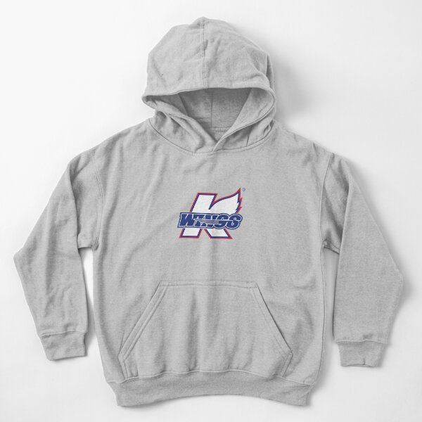 Youth Hoody Sweatshirt Primary Logo – Orlando Solar Bears Team Store