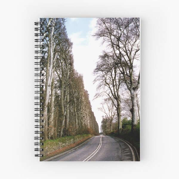 Item preview, World's Tallest & Longest Hedge. designed and sold by Margaret  Hyde.