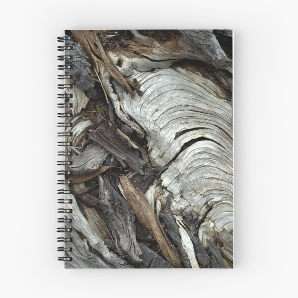 Item preview, Fallen Sheoak designed and sold by Ben Loveday.