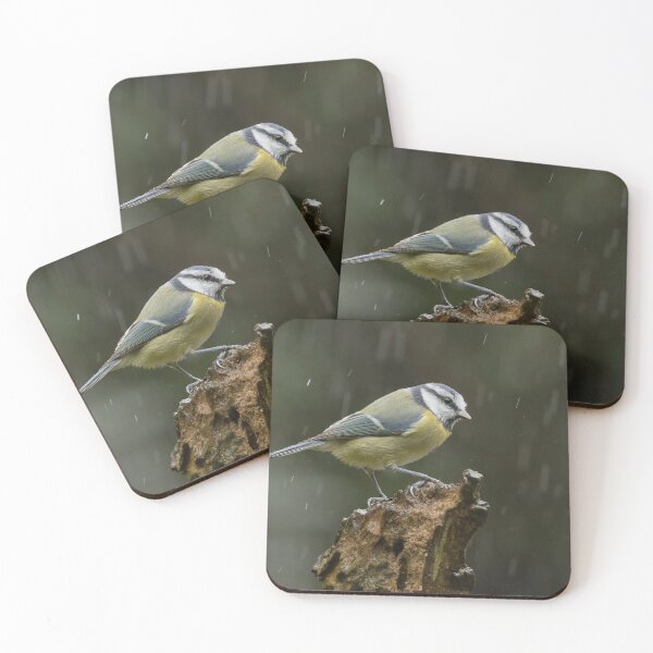 Item preview, Blue tit in the rain designed and sold by JLP ARTWORKS.